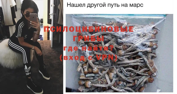 соль ск Аркадак