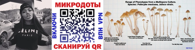 МЕГА ссылки  Катав-Ивановск  Галлюциногенные грибы мухоморы  продажа наркотиков 